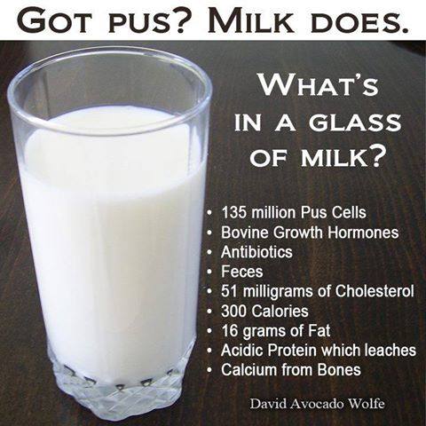 Image result for what is dairy made of peta